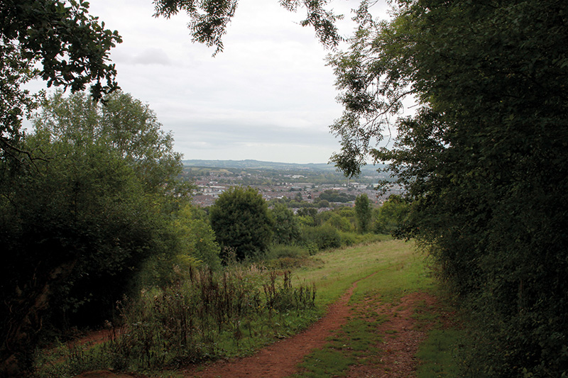 Barley Valley Nature Reserve Walk