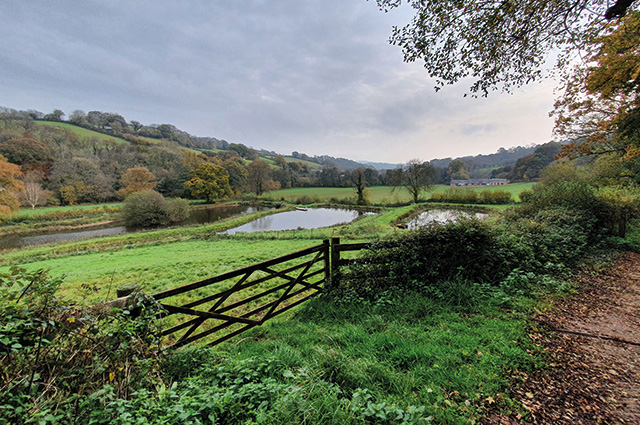 Bickleigh to Cadeleigh Circular Walk