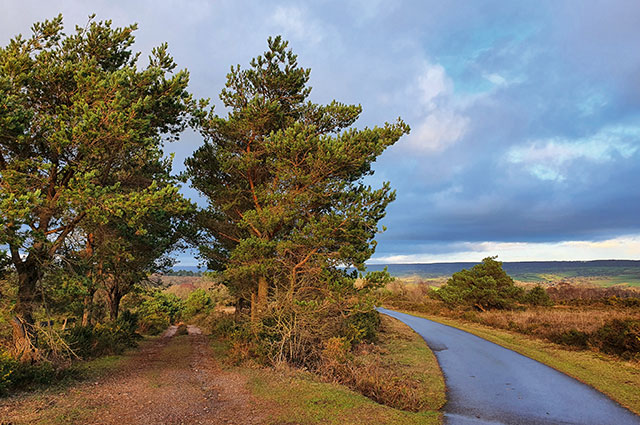 Aylesbeare Common Circular Walk