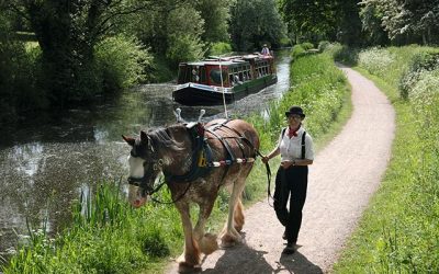 Go Here… Tiverton Horse Drawn Barge