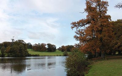 Shobrooke Park Walk