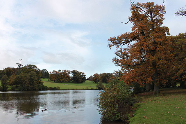 Shobrooke Park Walk